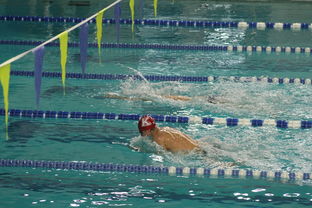 世界游泳锦标赛连续夺金，实力证明中国，世界游泳锦标赛举办地