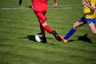 国家队引入国际先进的青少年训练理念 和战术体系，中国青少年国家队